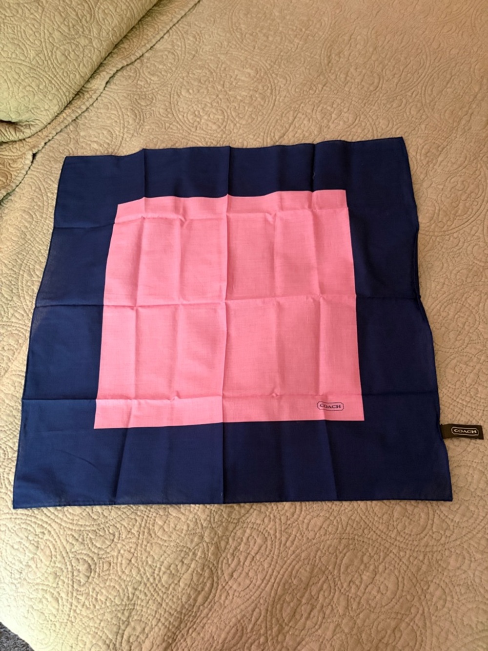 Vintage Coach Scarf